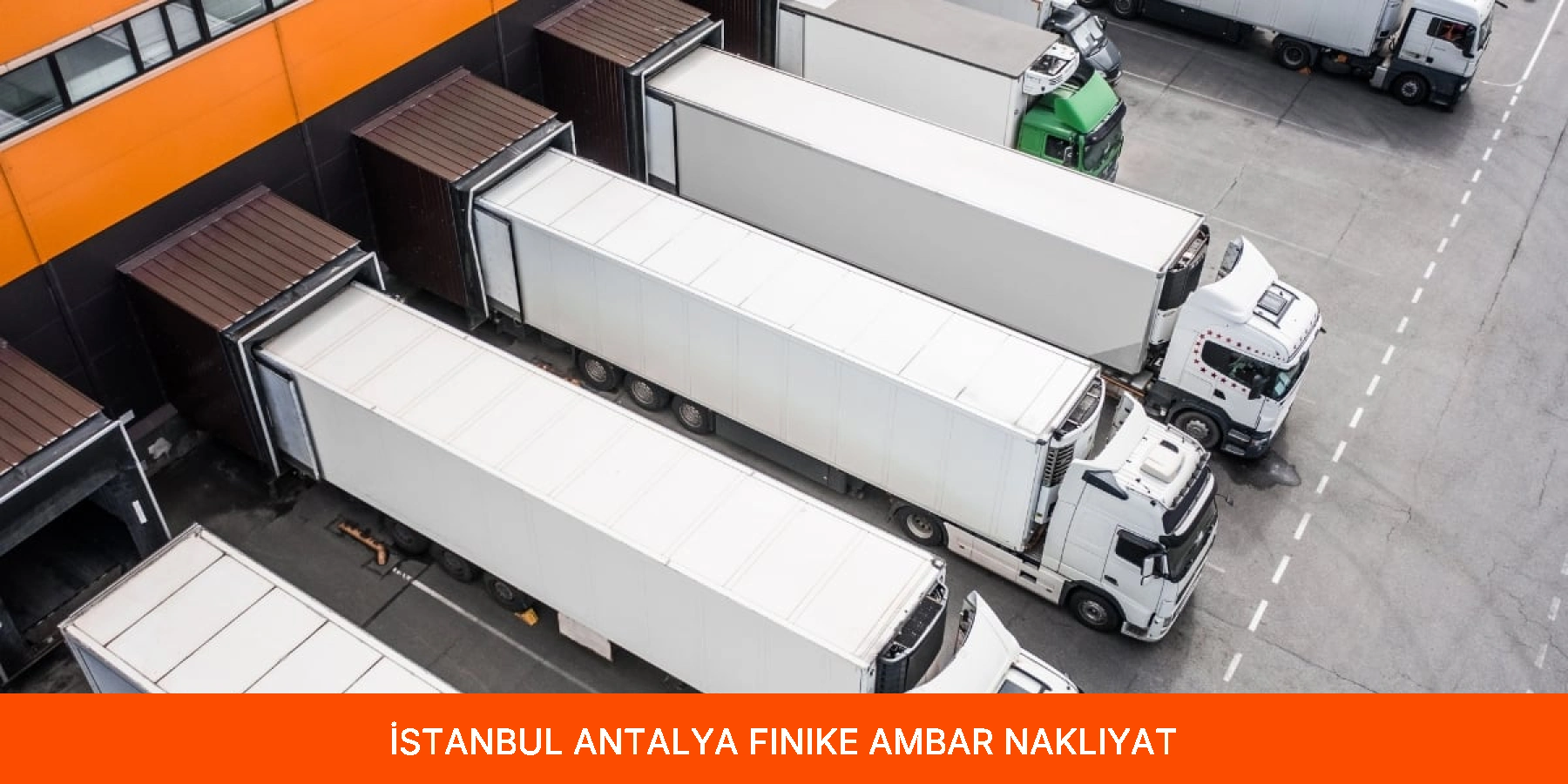 Finike Ambar